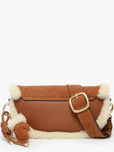 Cross Body Tas Alpin Etrier Bruin alpin EALP050S ander zicht 3